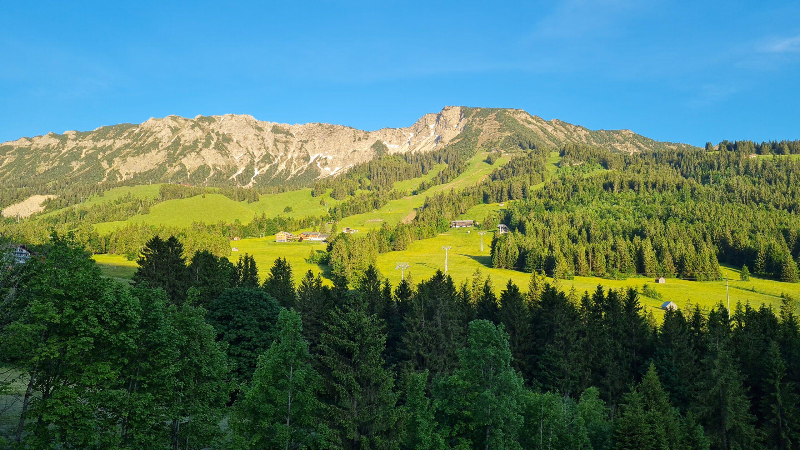Berge mit Sonne und herrlichen Wäldern